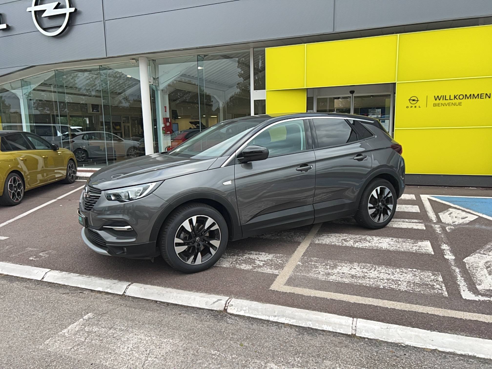 Image de l'annonce principale - Opel Grandland X