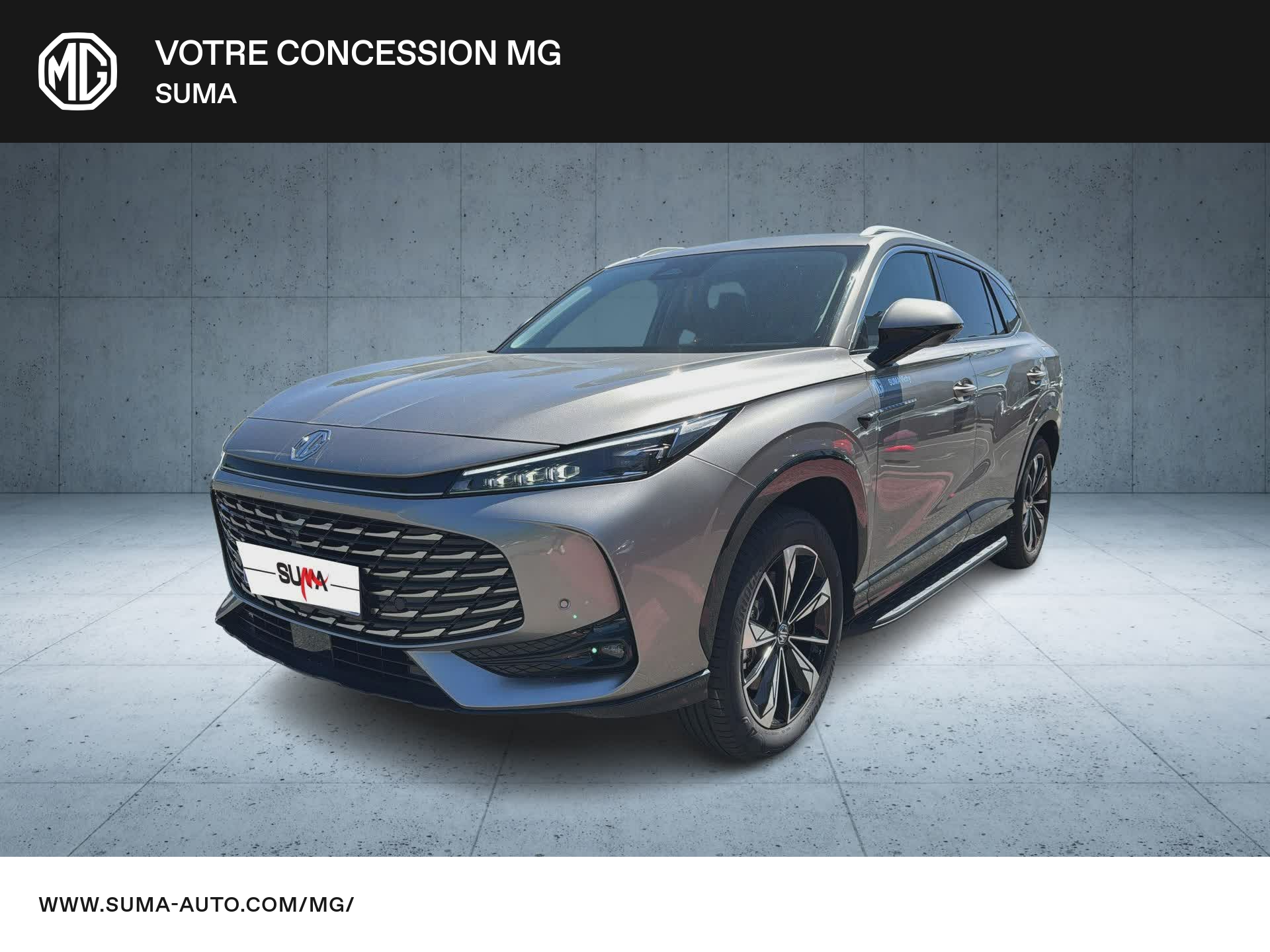 Image de l'annonce principale - MG EHS