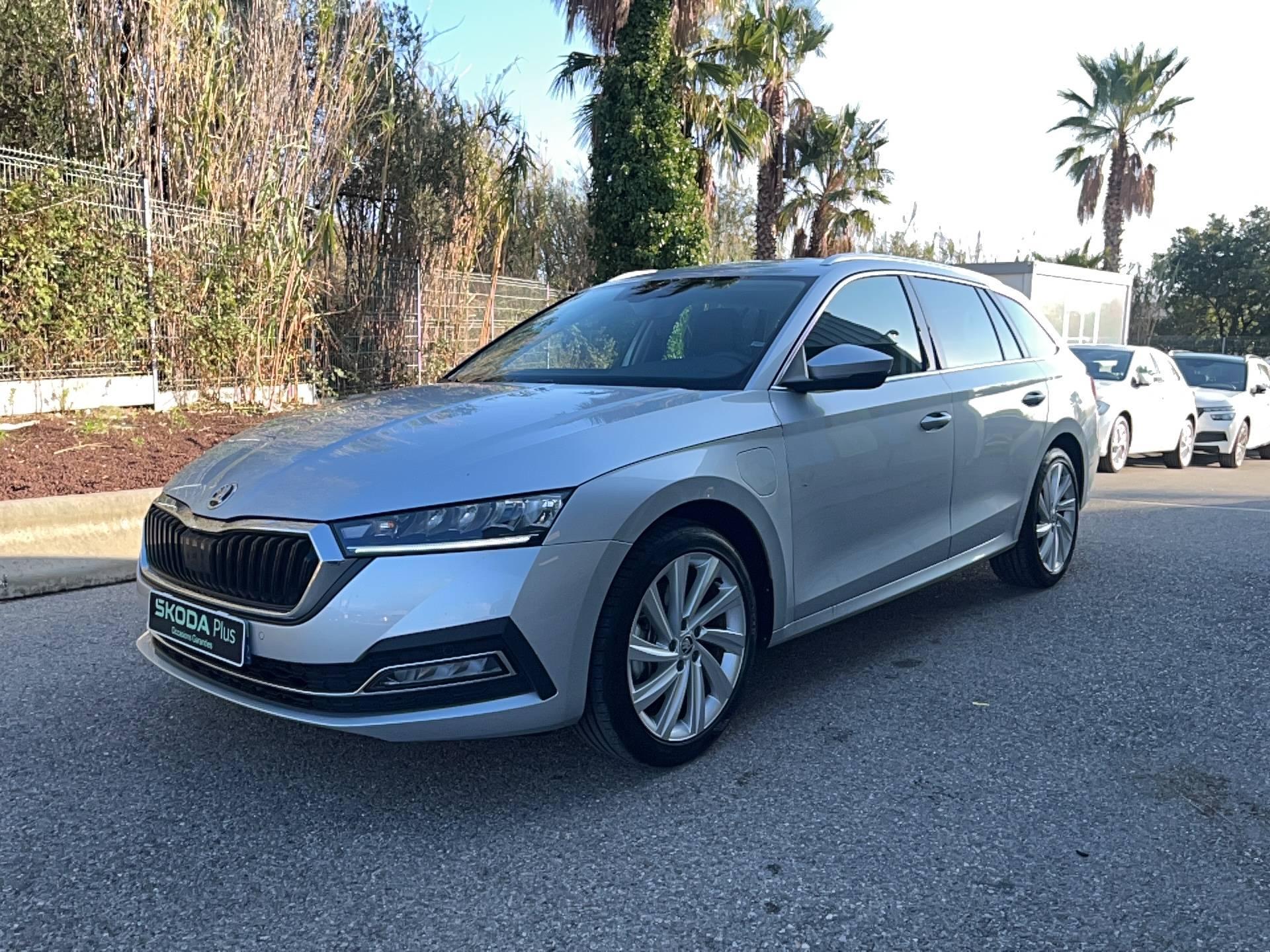 Image de l'annonce principale - Skoda Octavia