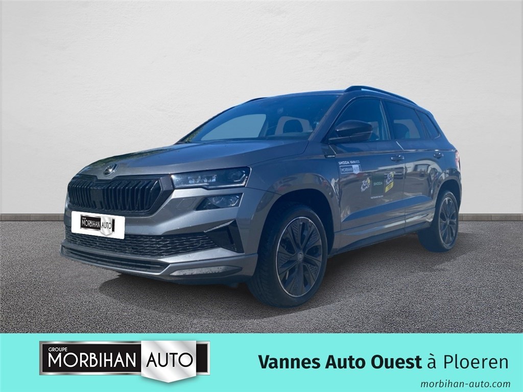 Image de l'annonce principale - Skoda Karoq