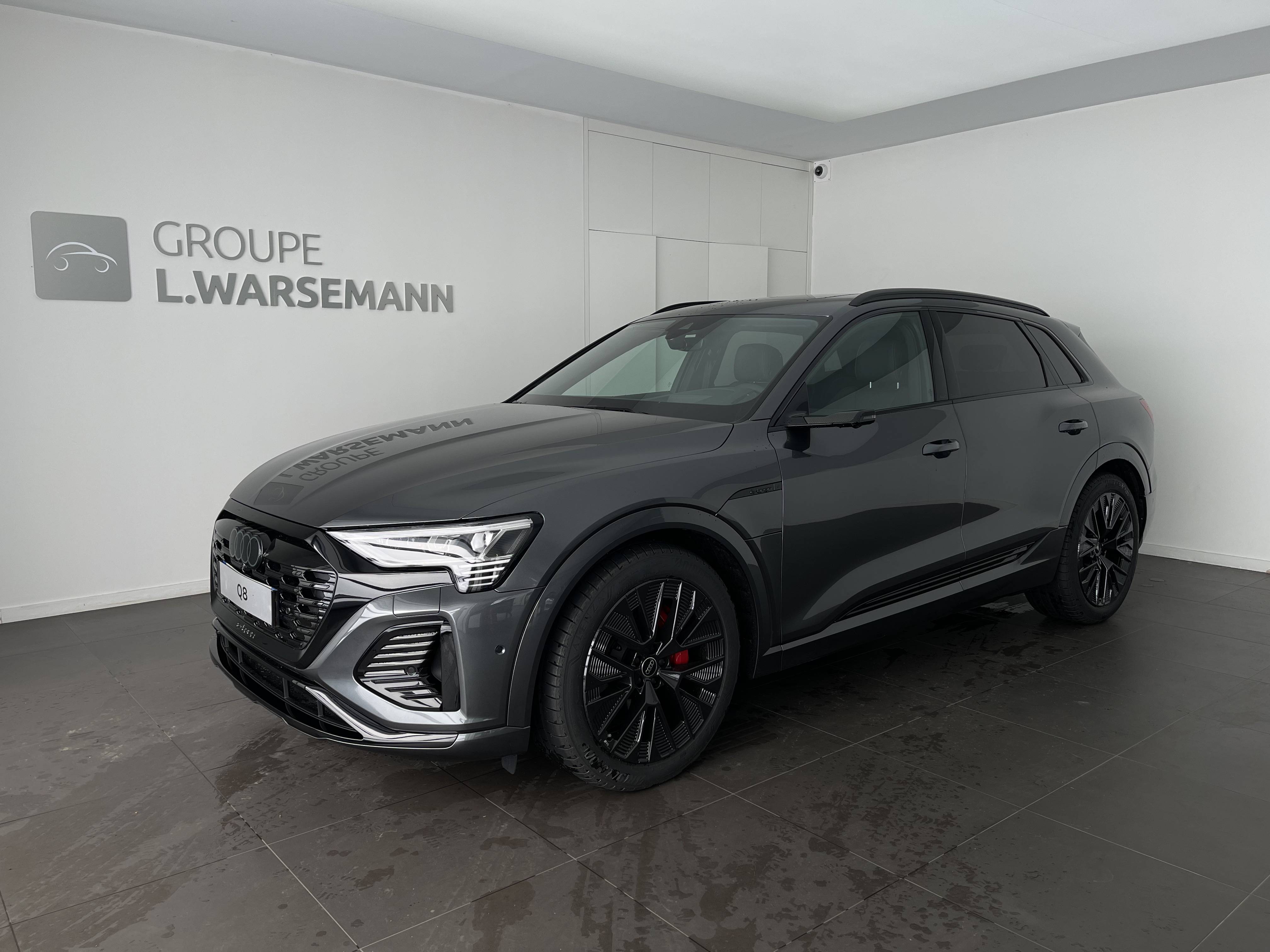 Audi Q8, Année 2024, ÉLECTRIQUE