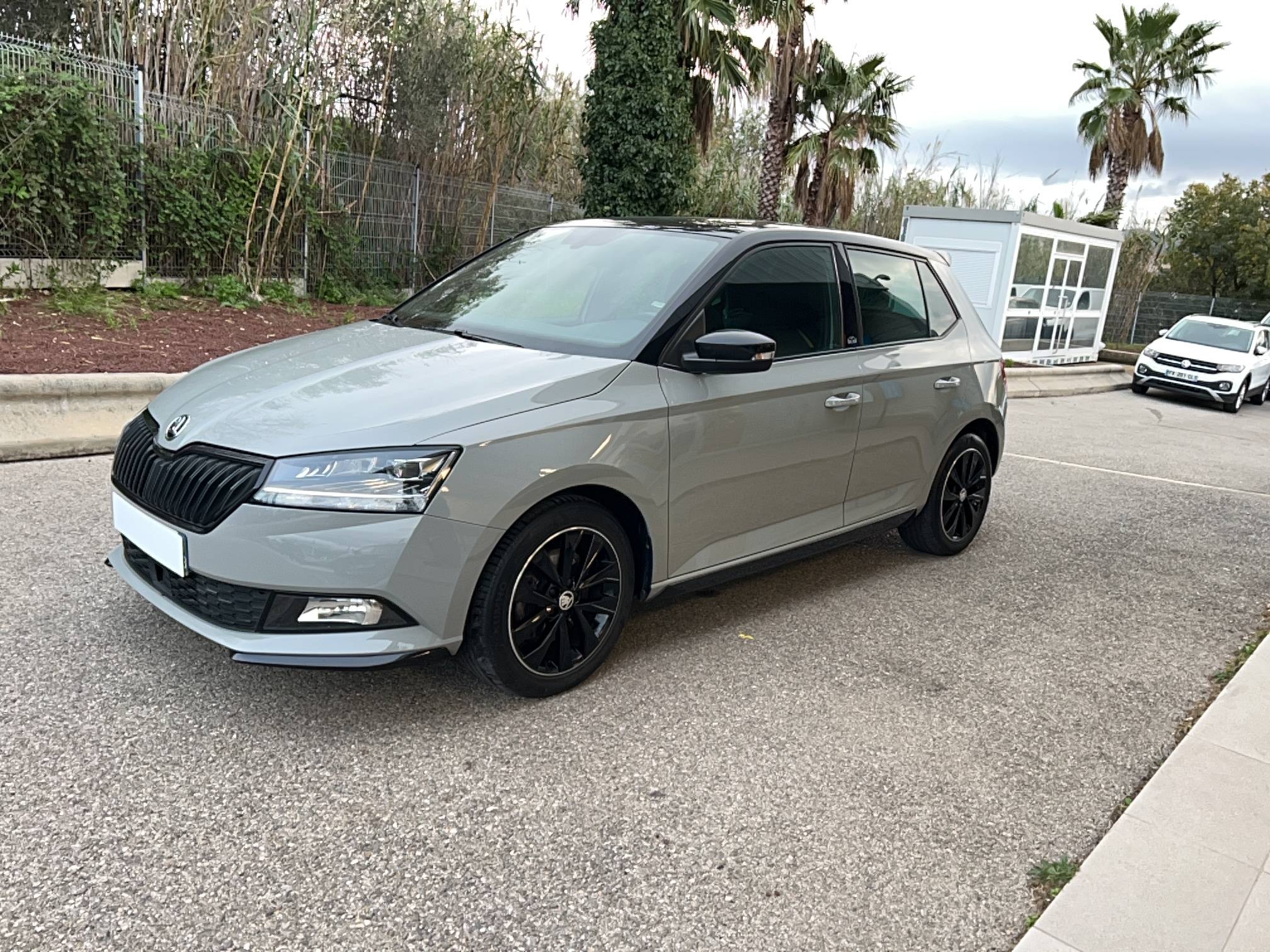 Image de l'annonce principale - Skoda Fabia