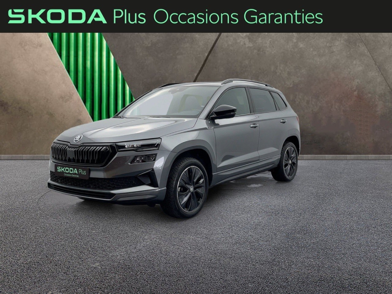 Image de l'annonce principale - Skoda Karoq