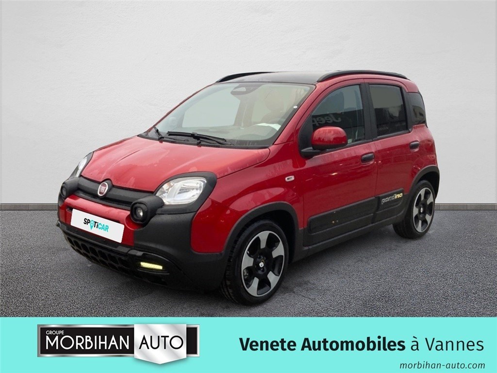 Image de l'annonce principale - Fiat Panda