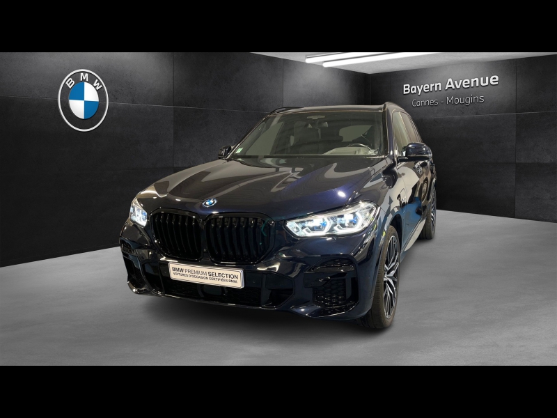 Image de l'annonce principale - BMW X5