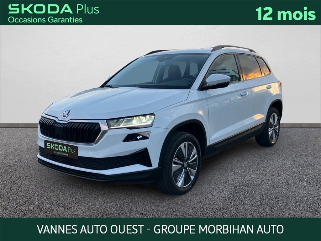 Image de l'annonce principale - Skoda Karoq