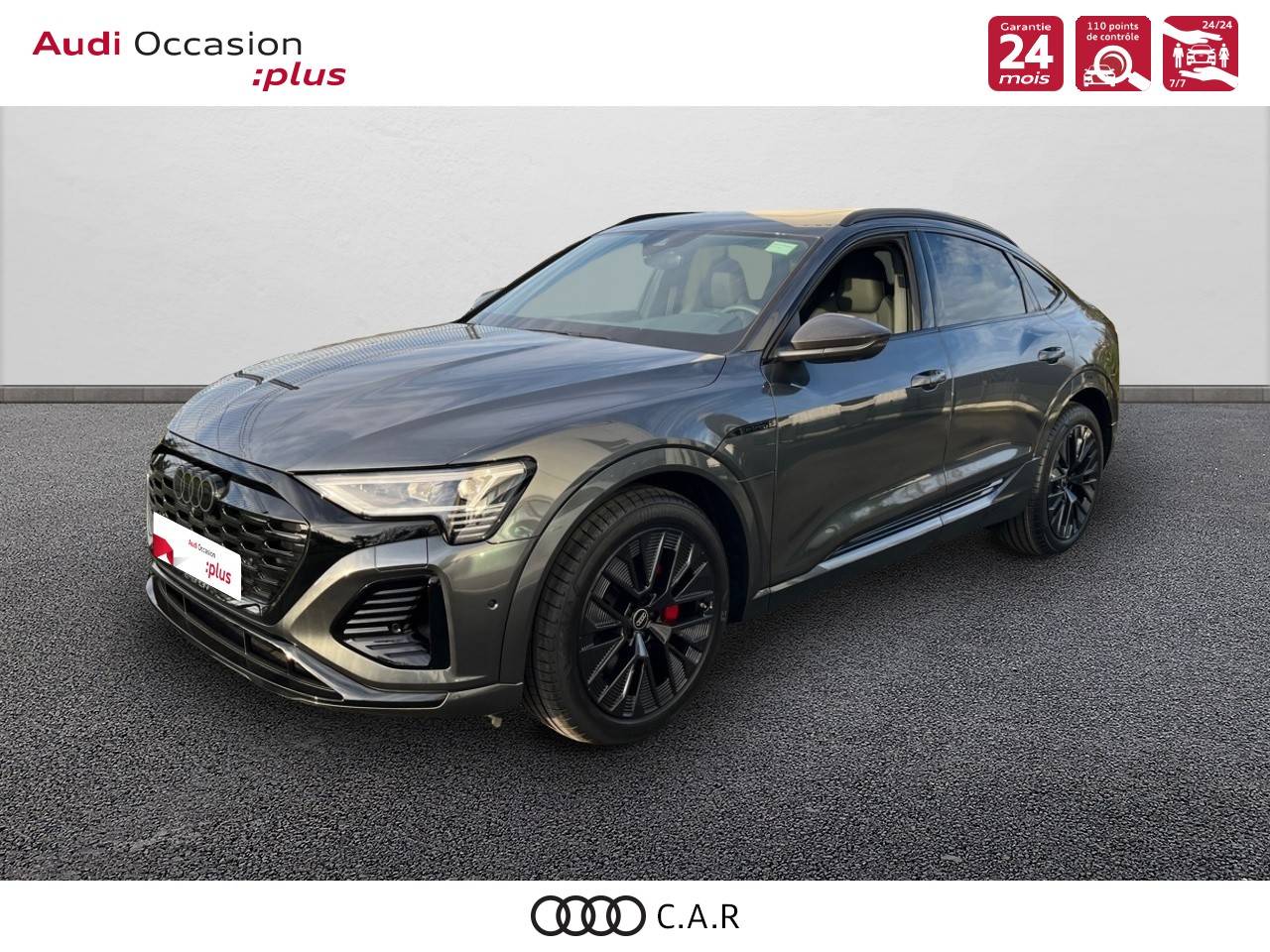 Audi Q8, Année 2024, ÉLECTRIQUE