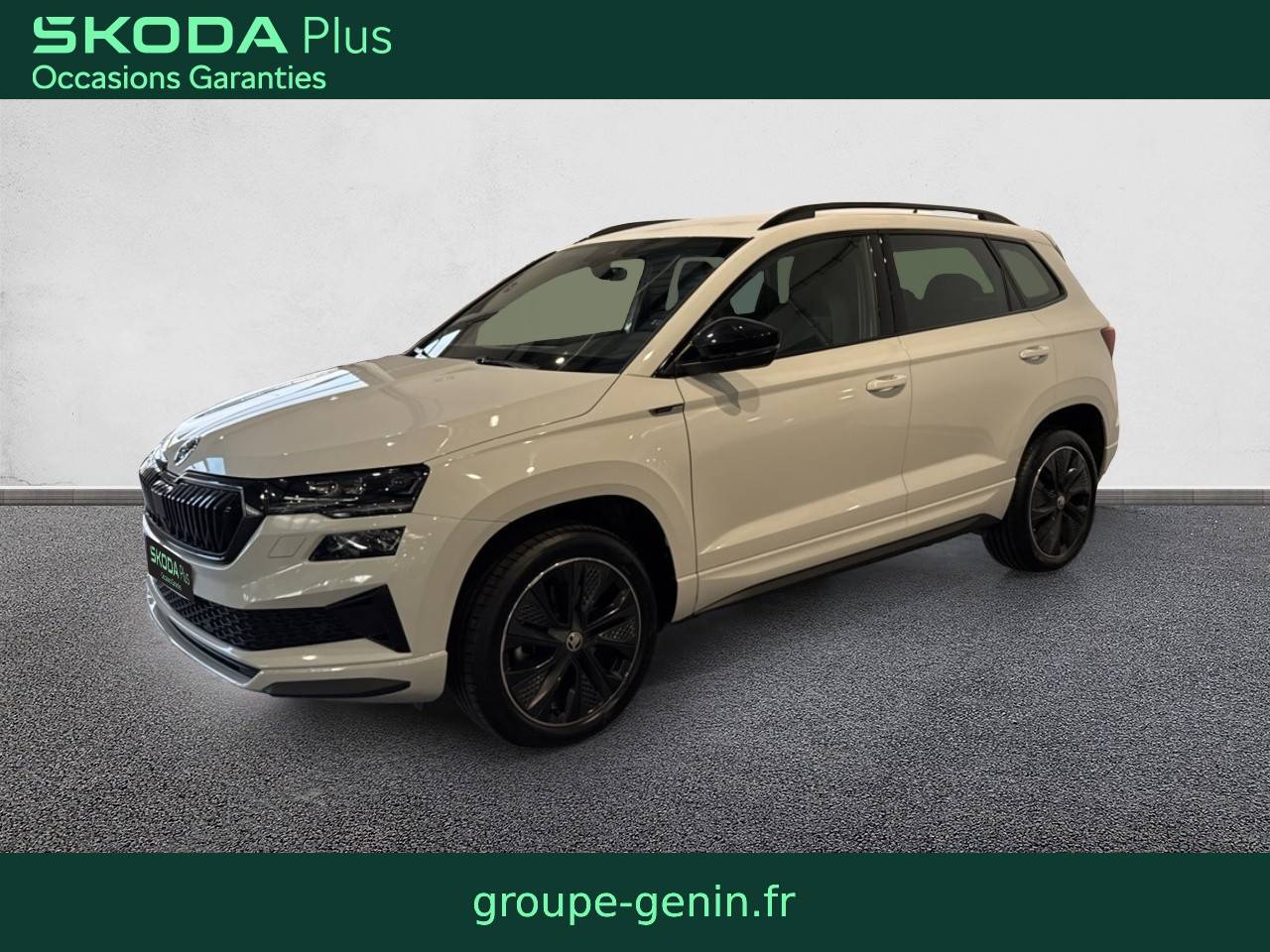 Image de l'annonce principale - Skoda Karoq