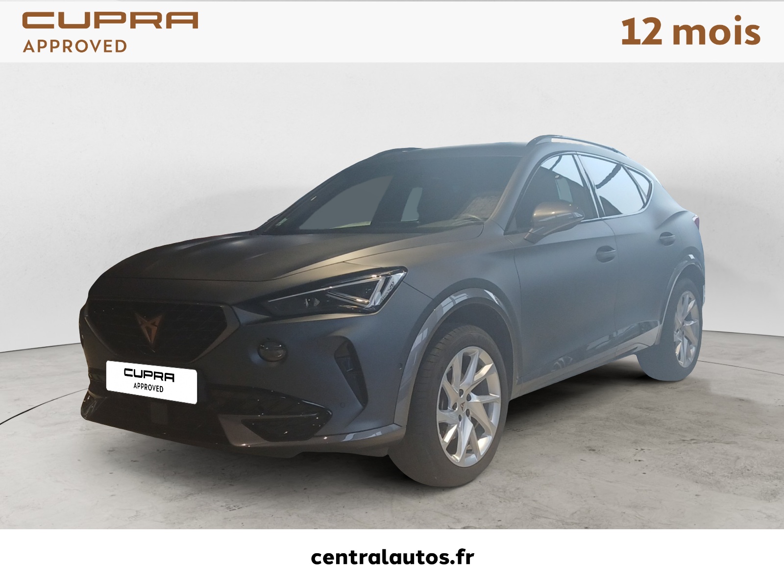 Image de l'annonce principale - Cupra Formentor