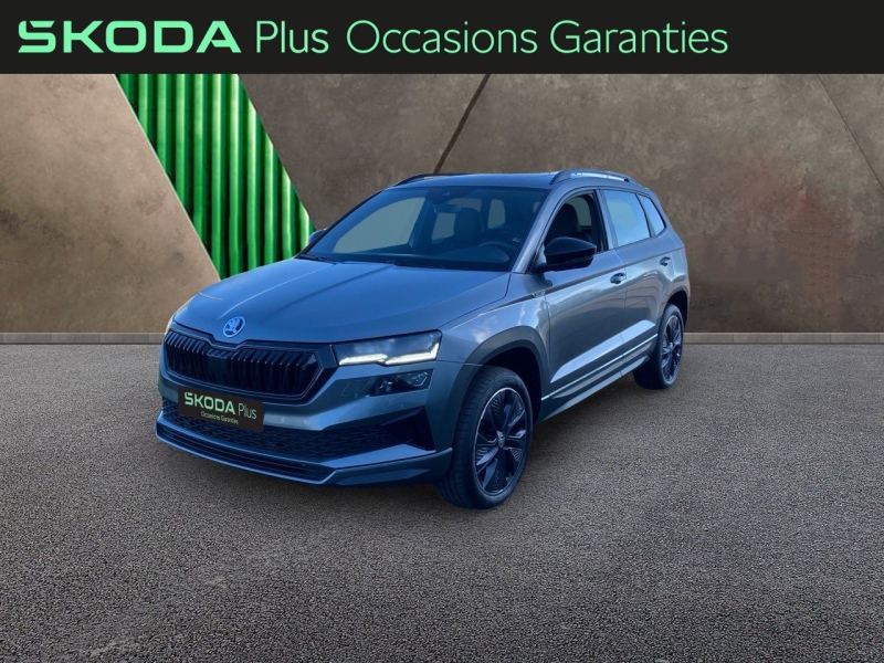 Image de l'annonce principale - Skoda Karoq