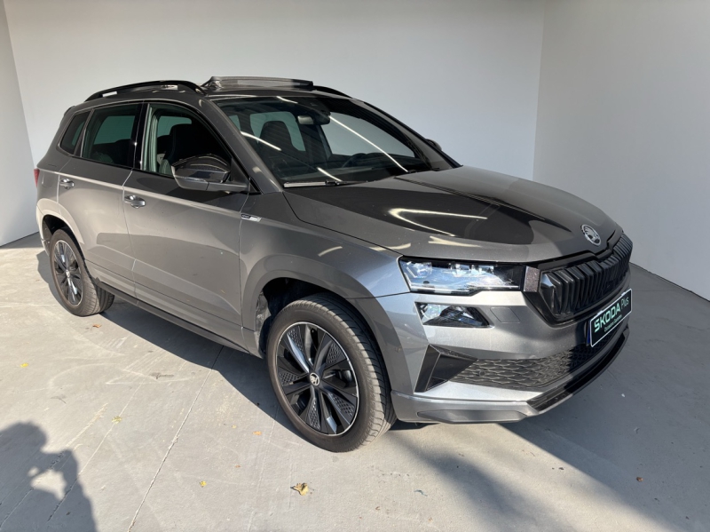 Image de l'annonce principale - Skoda Karoq