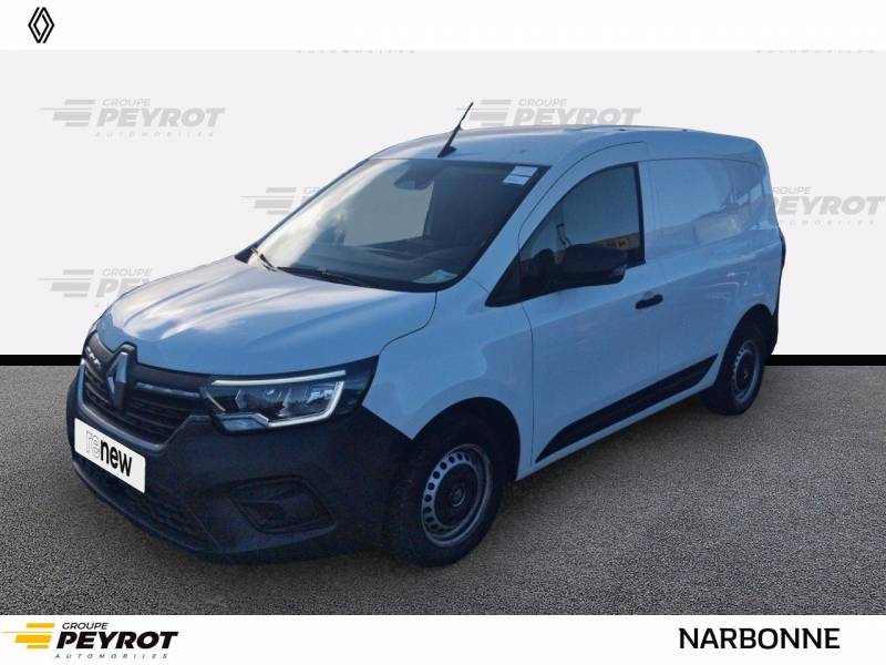 Image de l'annonce principale - Renault Kangoo