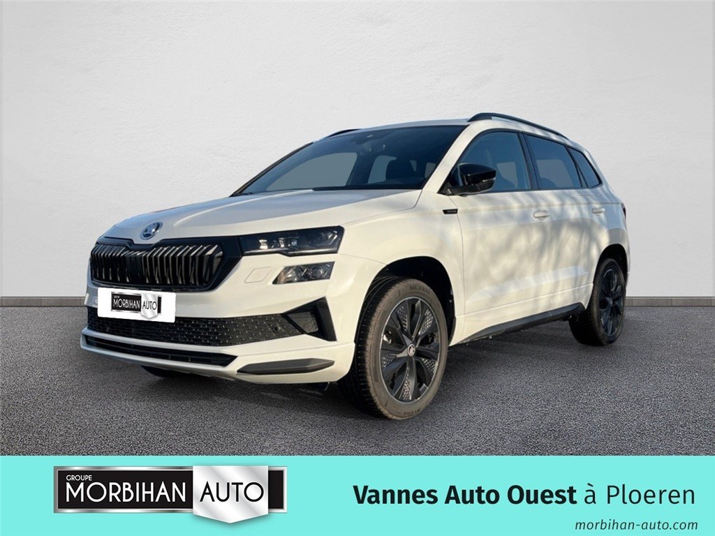 Image de l'annonce principale - Skoda Karoq