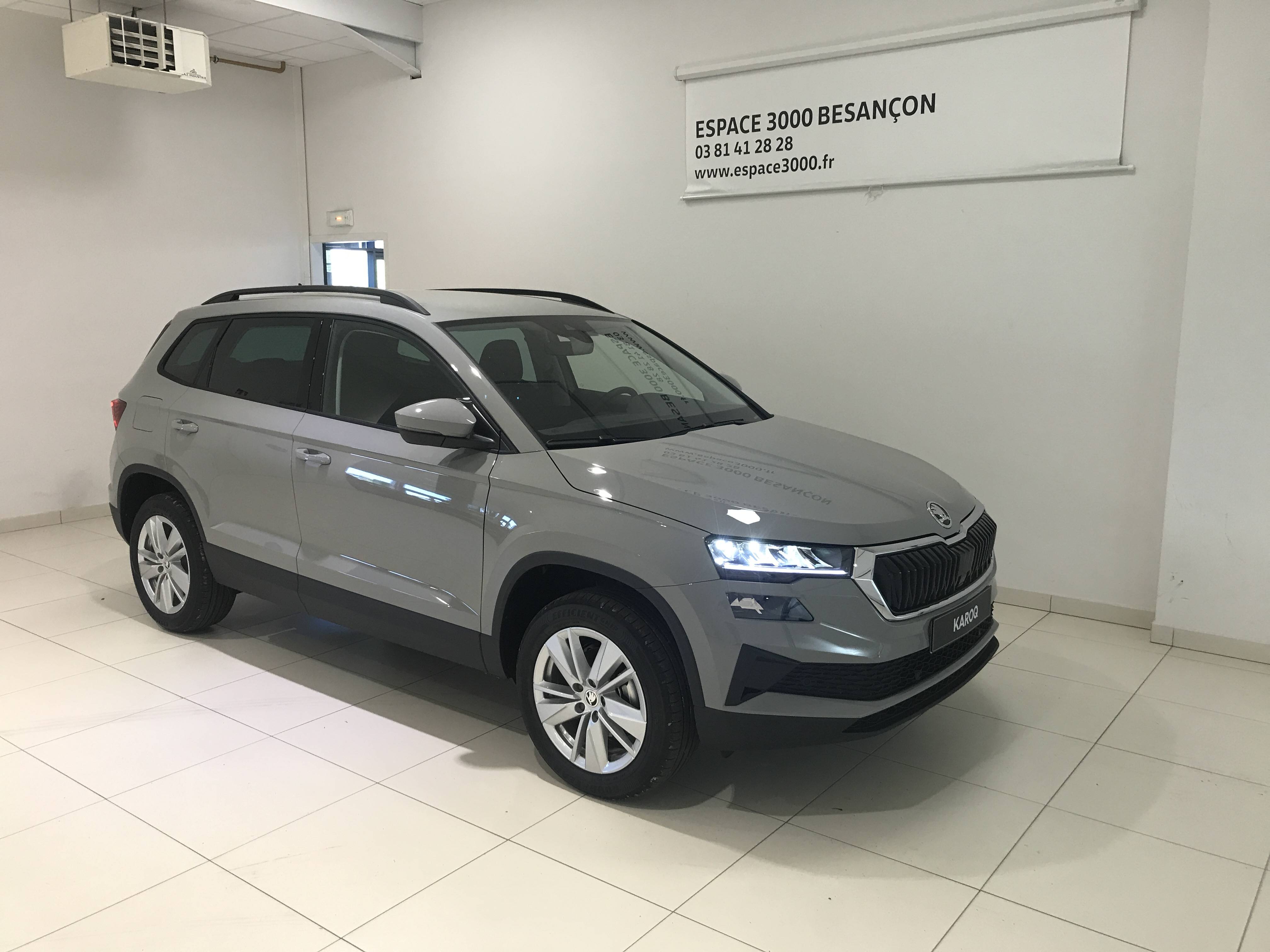 Image de l'annonce principale - Skoda Karoq