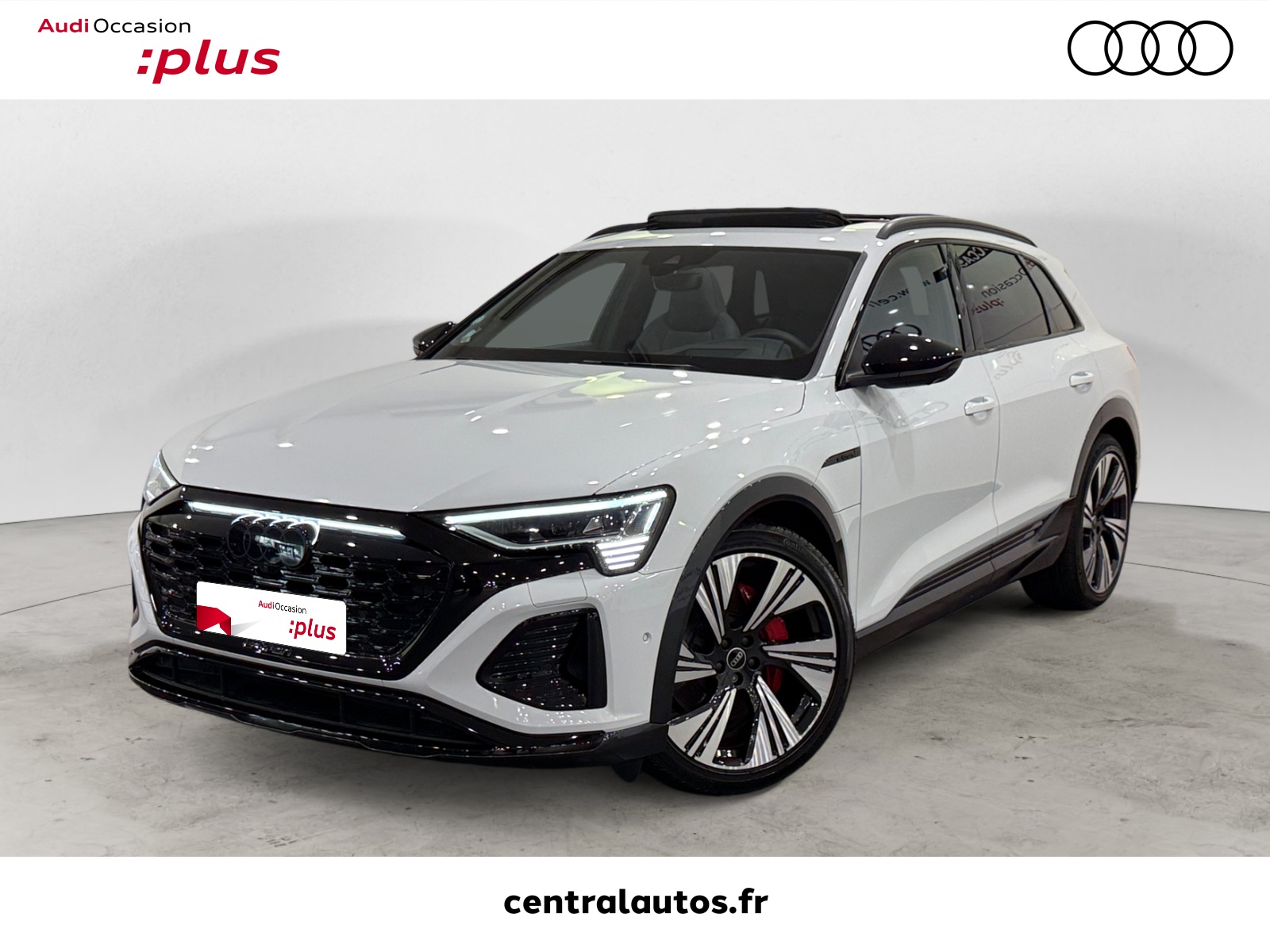 Image de l'annonce principale - Audi Q8 e-tron