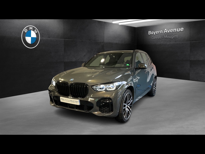 Image de l'annonce principale - BMW X5