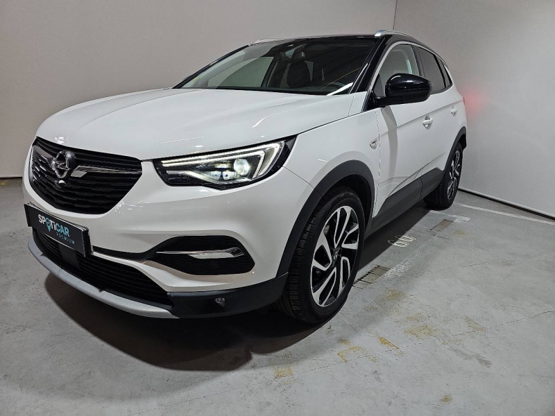 Image de l'annonce principale - Opel Grandland X