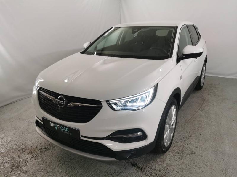 Image de l'annonce principale - Opel Grandland X