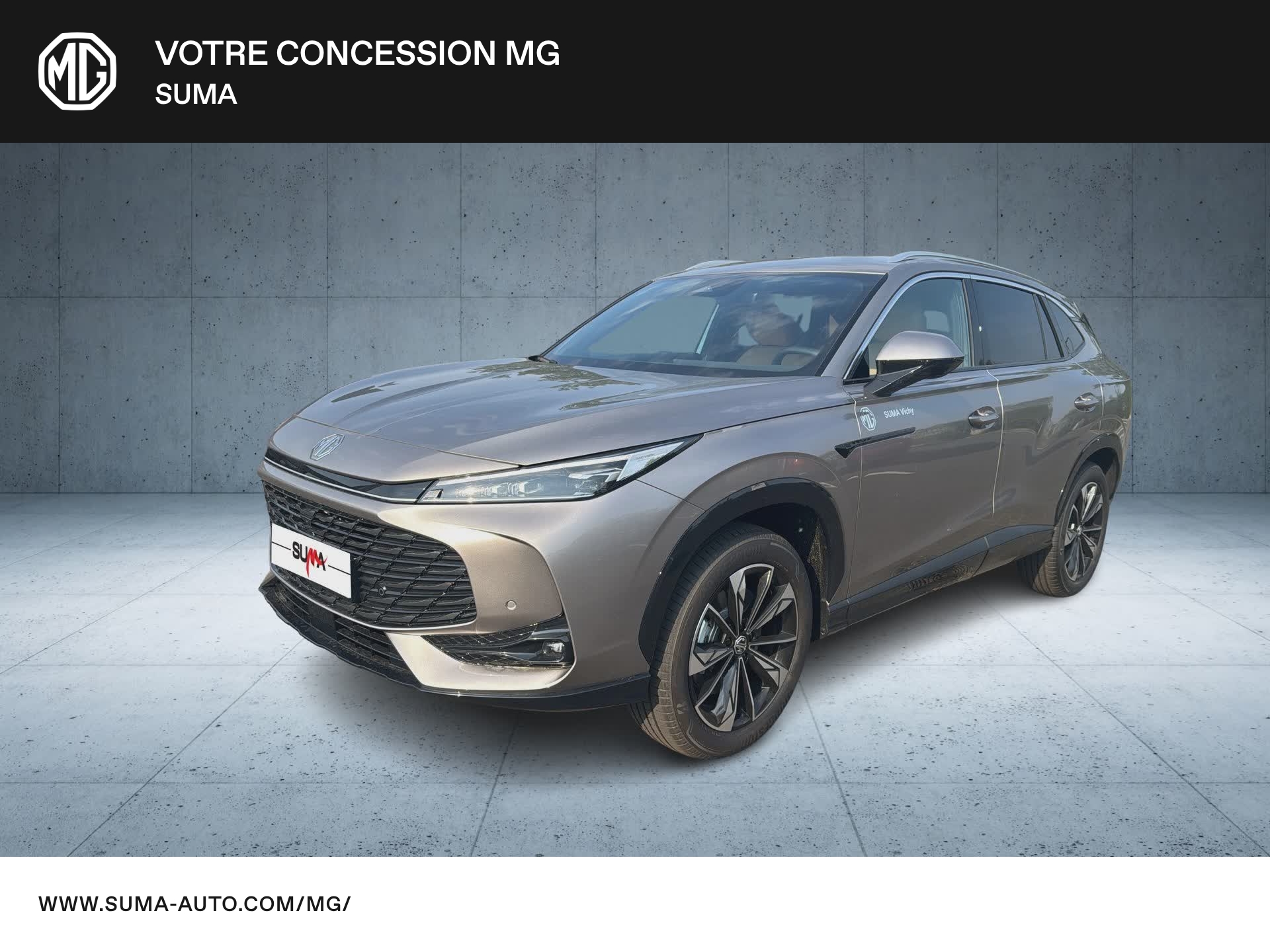 Image de l'annonce principale - MG EHS
