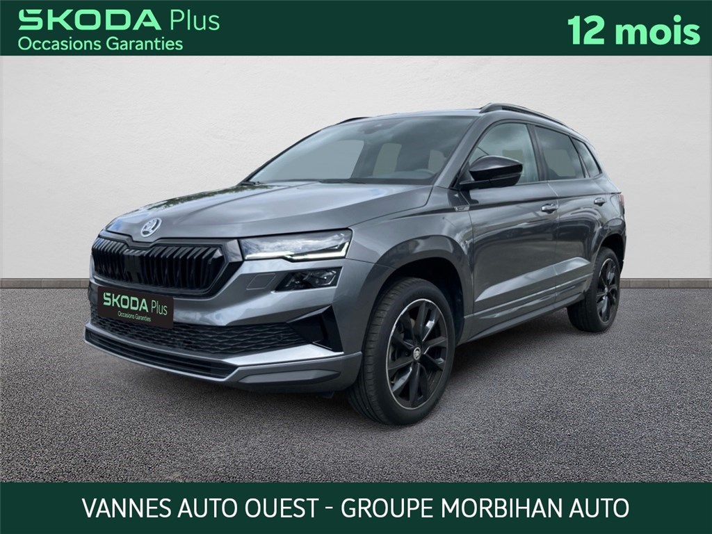 Image de l'annonce principale - Skoda Karoq