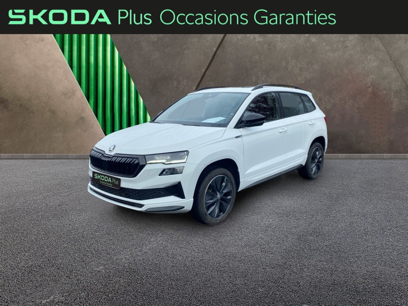 Image de l'annonce principale - Skoda Karoq