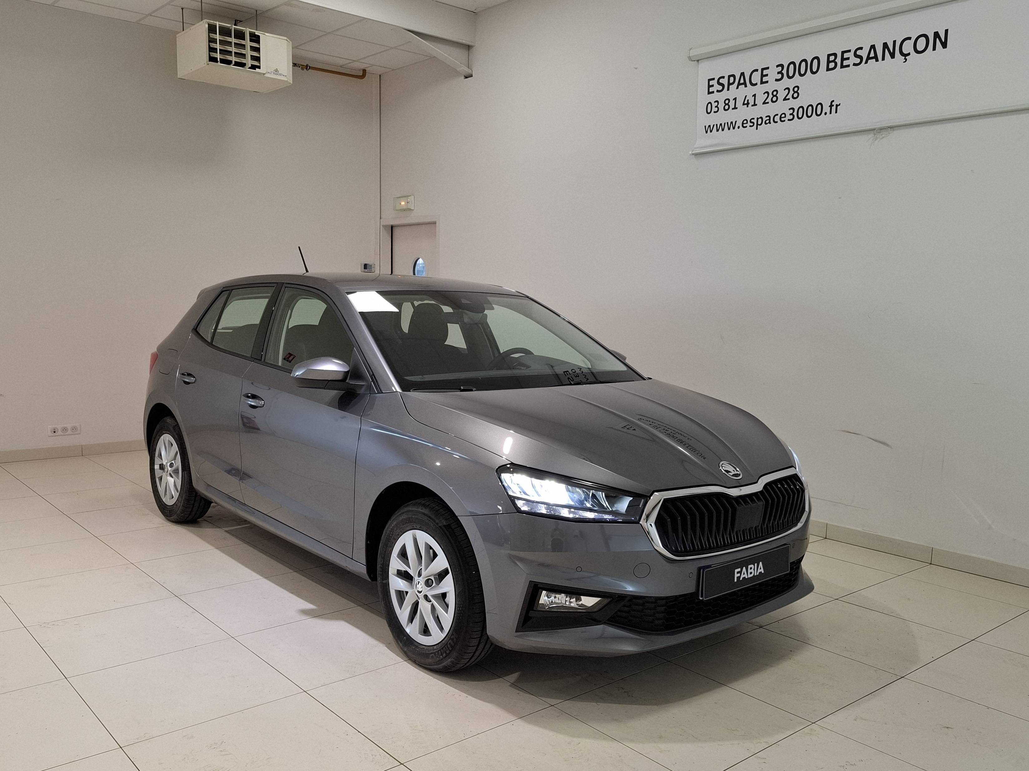 Image de l'annonce principale - Skoda Fabia