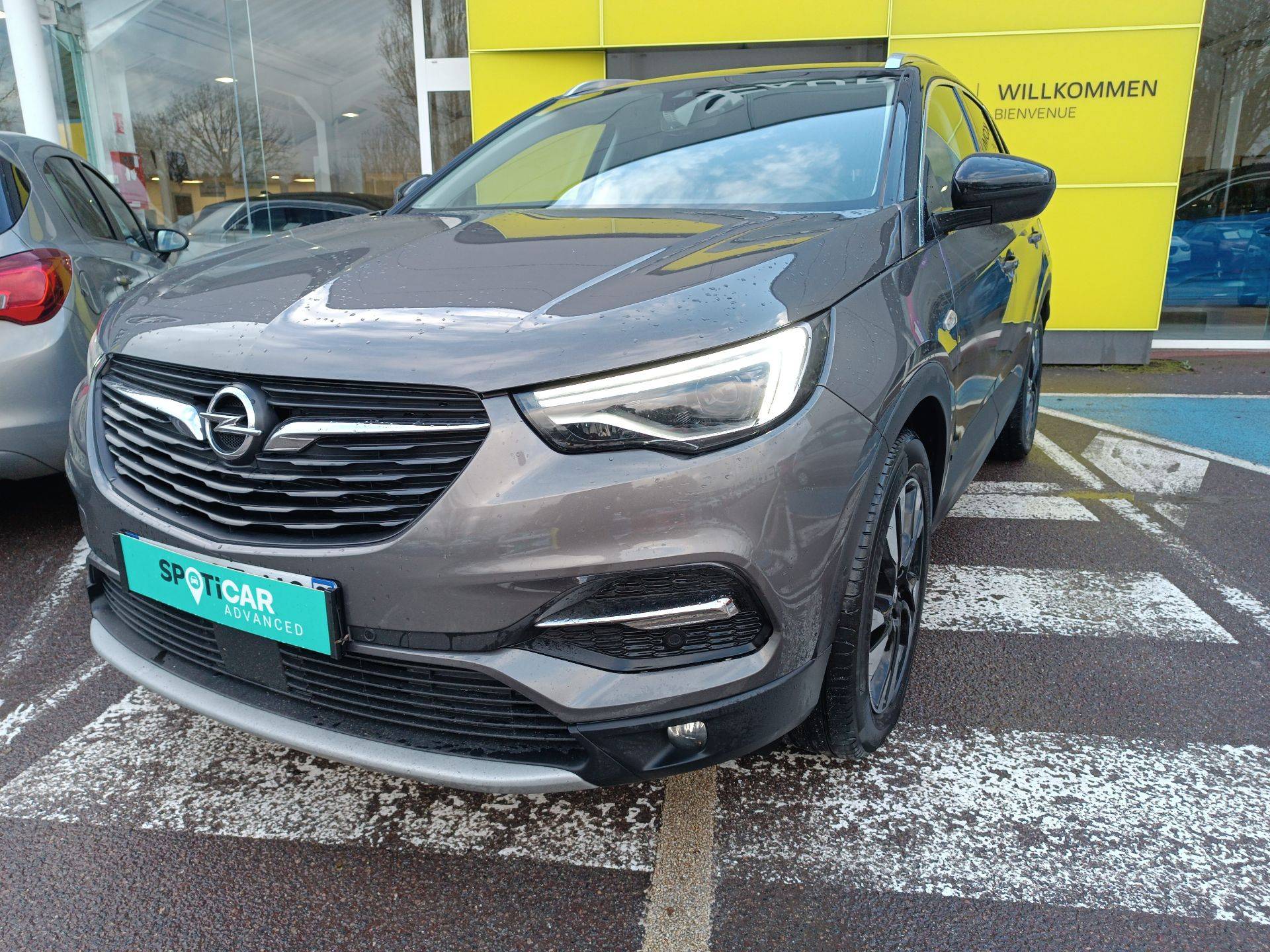 Image de l'annonce principale - Opel Grandland X