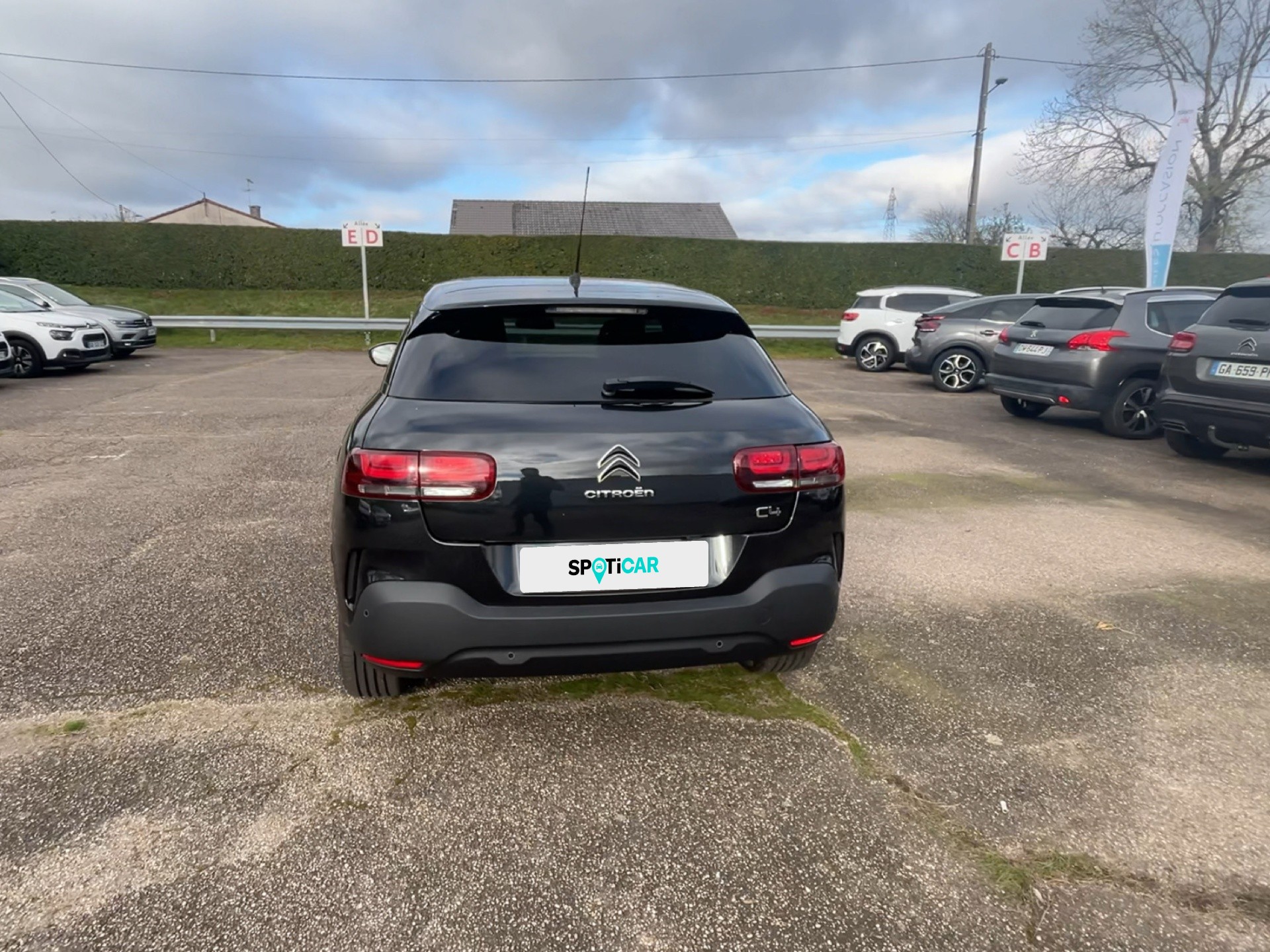 360 view