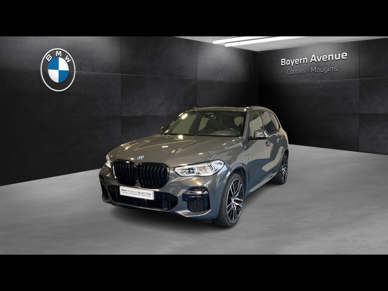 Image de l'annonce principale - BMW X5