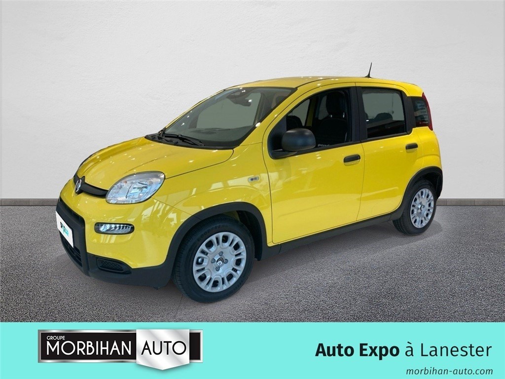 Image de l'annonce principale - Fiat Panda