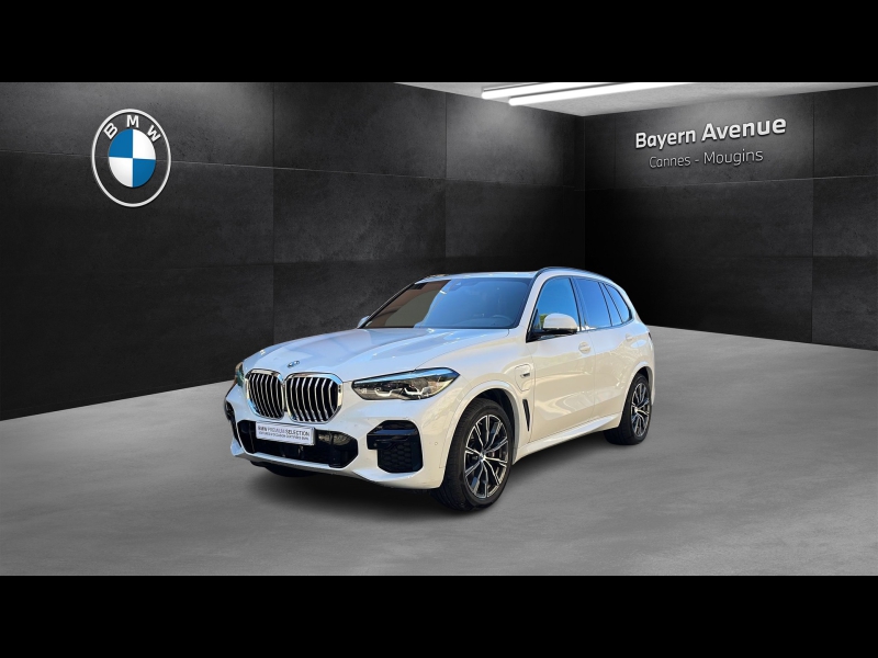 Image de l'annonce principale - BMW X5