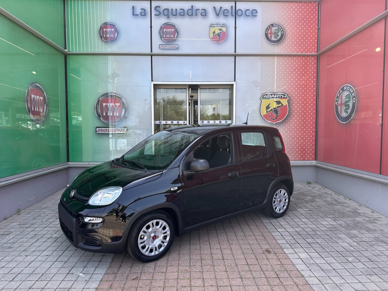 Image de l'annonce principale - Fiat Panda