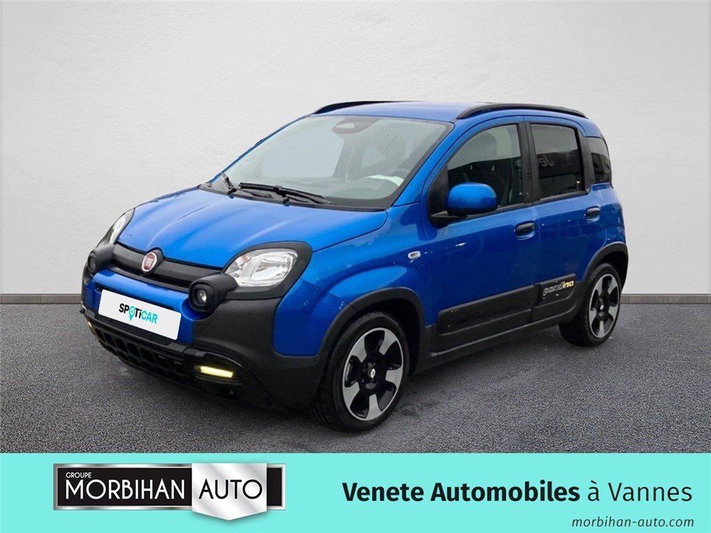 Image de l'annonce principale - Fiat Panda