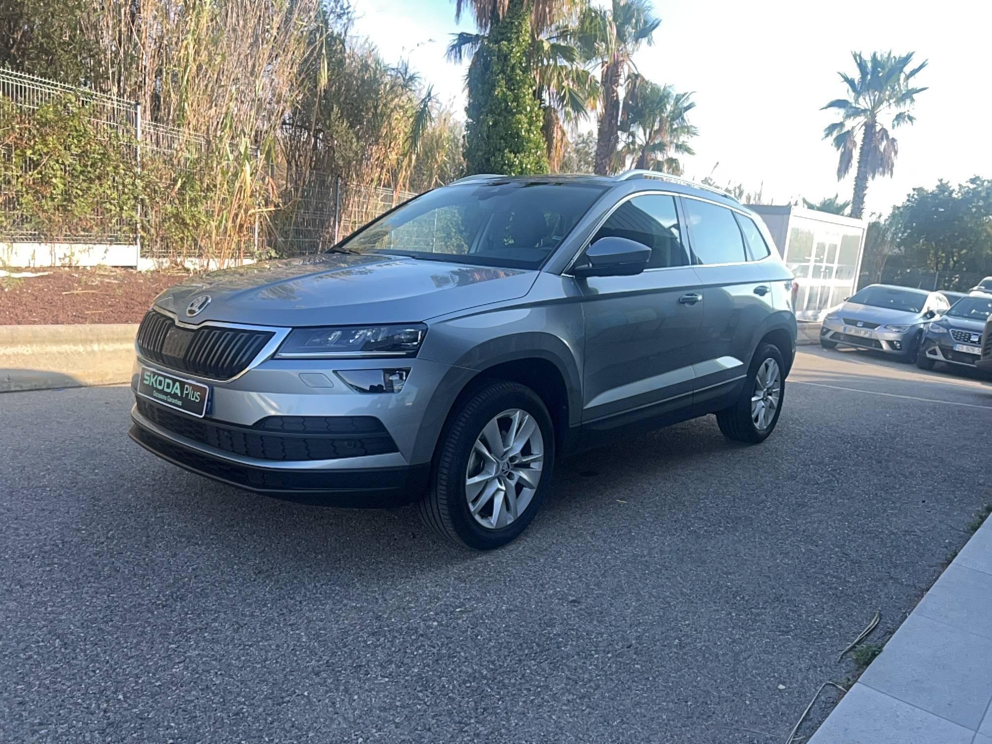 Image de l'annonce principale - Skoda Karoq