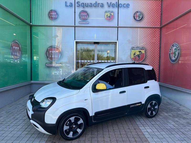 Image de l'annonce principale - Fiat Panda