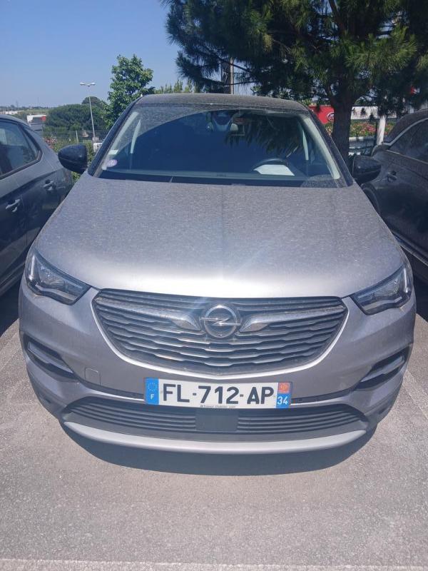 Image de l'annonce principale - Opel Grandland X