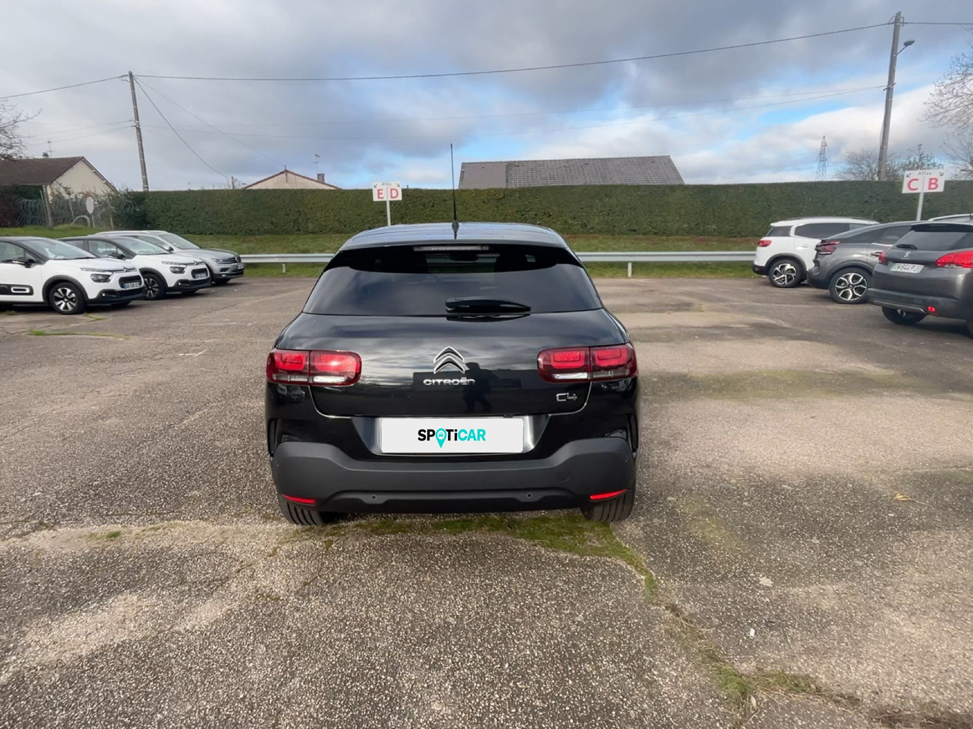 360 view
