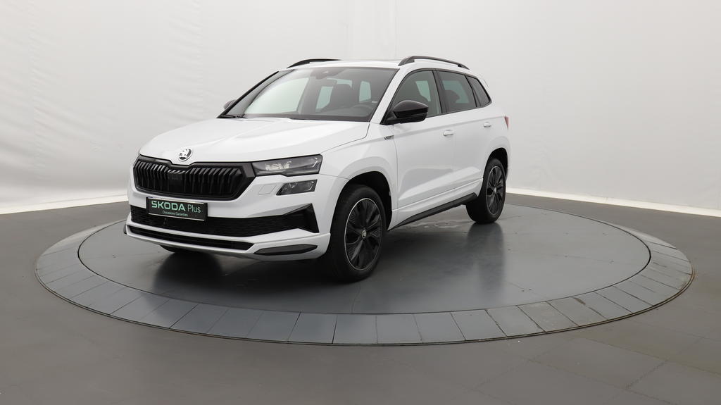 Image de l'annonce principale - Skoda Karoq