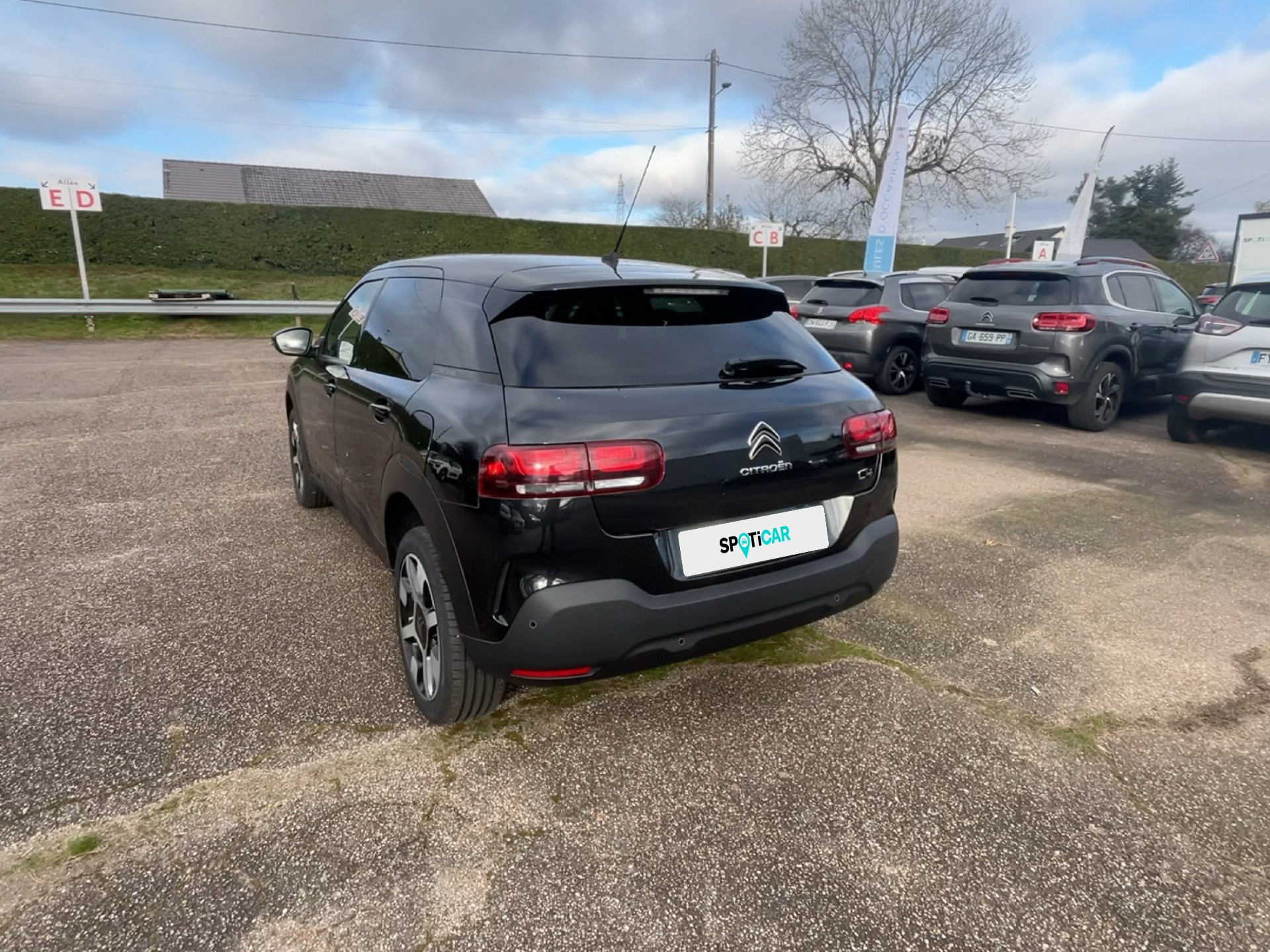 360 view