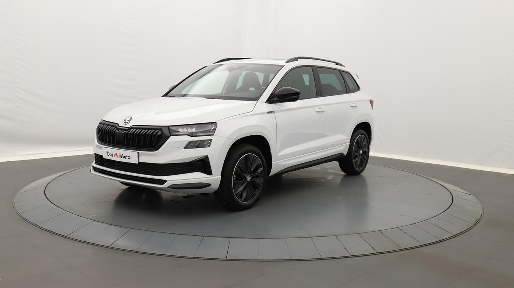 Image de l'annonce principale - Skoda Karoq