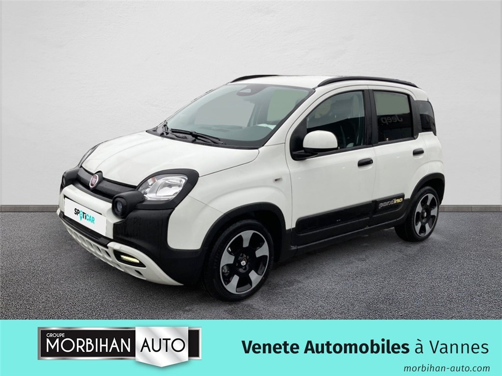 Image de l'annonce principale - Fiat Panda