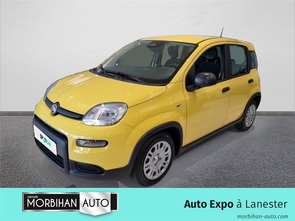 Image de l'annonce principale - Fiat Panda