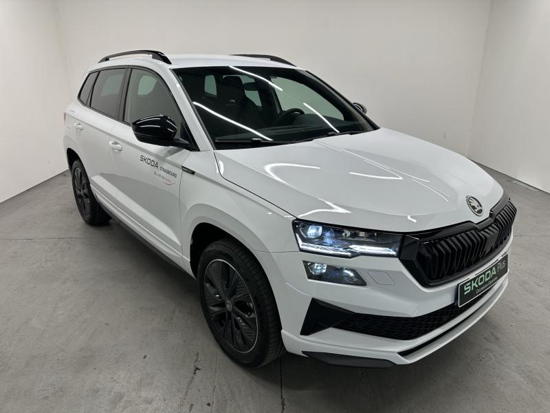Image de l'annonce principale - Skoda Karoq